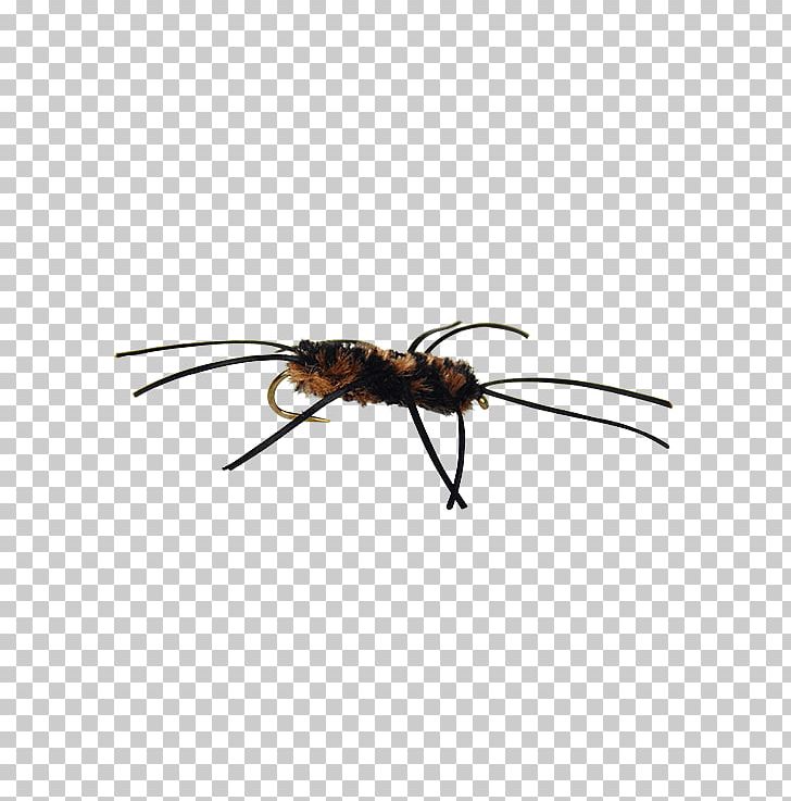 Ant California Fly Fishing Pennsylvania Stoneflies PNG, Clipart, Ant, Arthropod, California, Crate, Fishing Free PNG Download