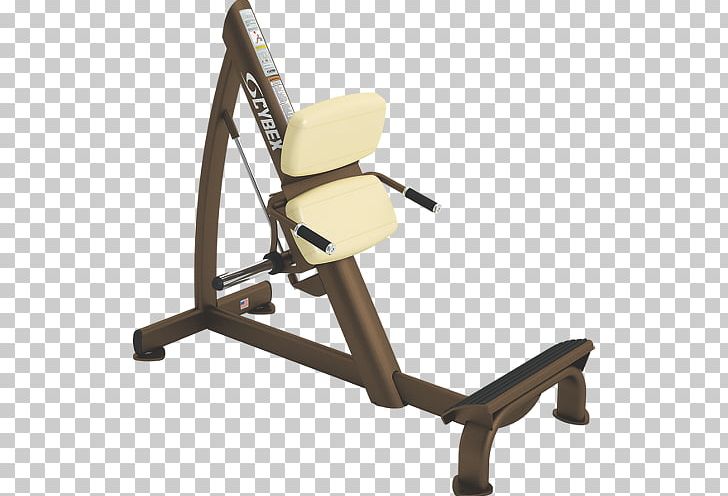 Calf Raises Weight Training Cybex International Physical Fitness PNG, Clipart,  Free PNG Download