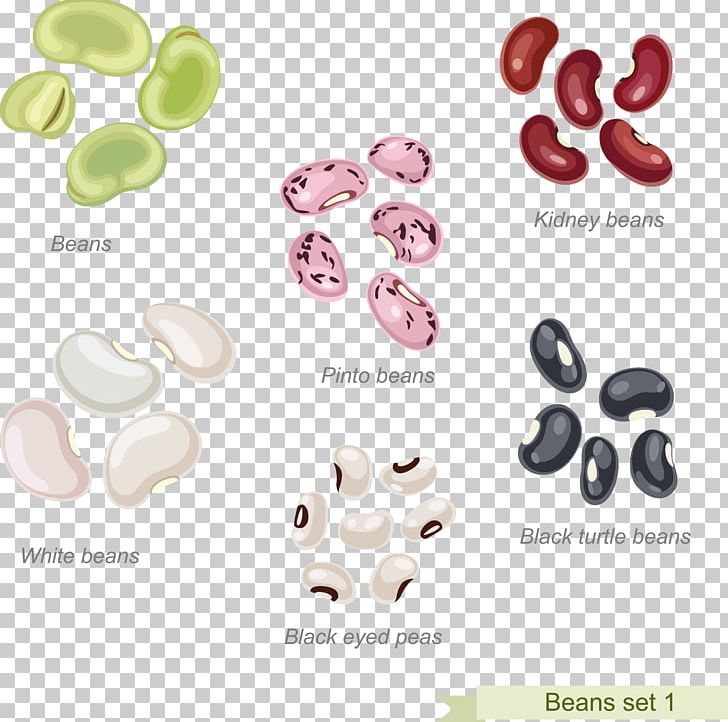 Cowboy Beans Pinto Bean Refried Beans PNG, Clipart, Bean, Beans, Body Jewelry, Button, Cereal Free PNG Download
