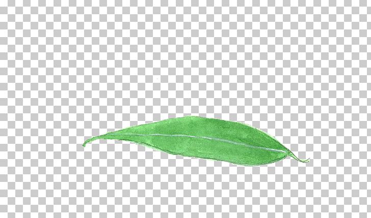 Leaf PNG, Clipart, Autumn Leaves, Bamboo, Bamboo Leaves, Banana Leaves, Fall Leaves Free PNG Download