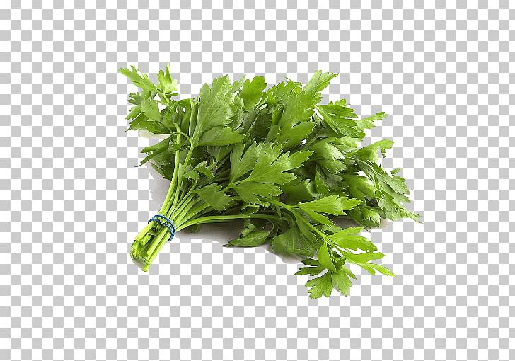 Parsley Organic Food Vegetable Leaf PNG, Clipart, 5 A Day, Celery, Continental, Coriander, Fennel Free PNG Download