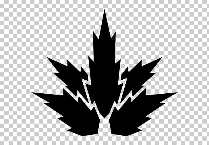Maple Leaf Plant Nature Computer Icons PNG, Clipart, Apartment, Black And White, Chimes Vector, Computer Icons, Flowering Plant Free PNG Download