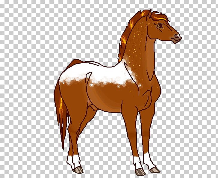 Mustang Foal Mare Stallion Bridle PNG, Clipart,  Free PNG Download