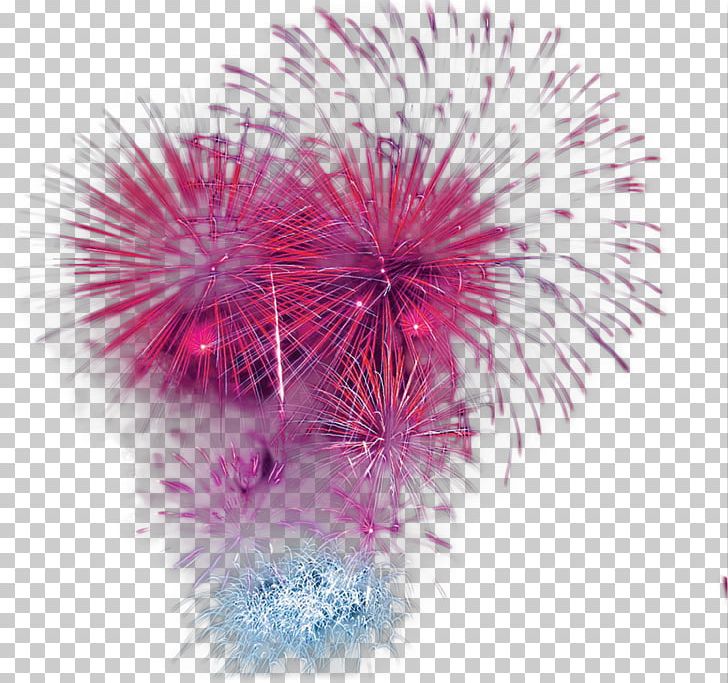 Red Purple PNG, Clipart, Adobe Fireworks, Behind, Color, Festival, Firework Free PNG Download