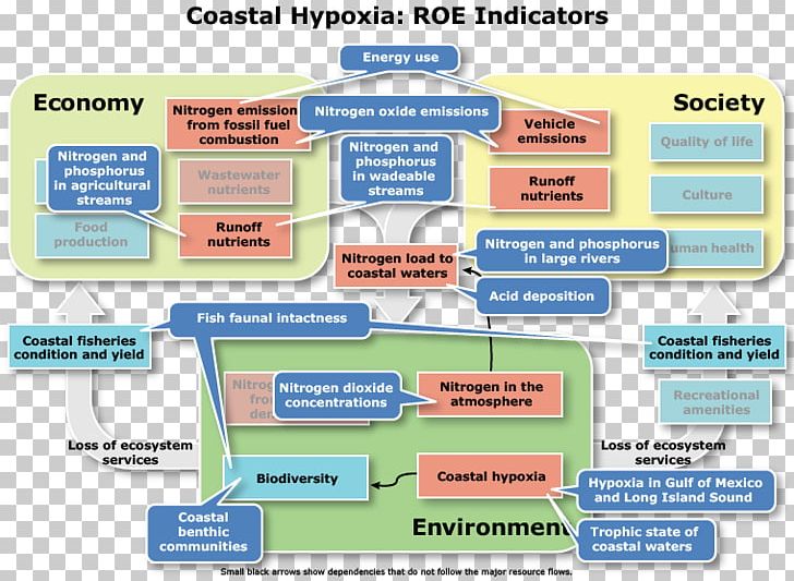 Acid Rain Natural Environment Sustainability Sustainable Development Hypoxia PNG, Clipart, Acid, Acid Rain, Area, Biodiversity, Conceptual Model Free PNG Download