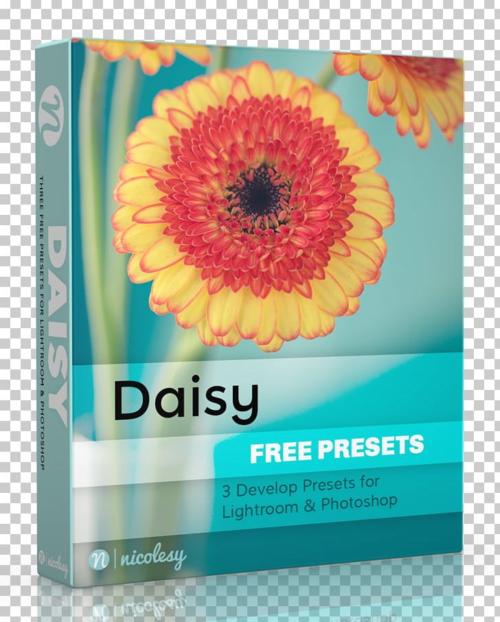 Adobe Lightroom Adobe Creative Cloud Adobe Systems Transvaal Daisy PNG, Clipart, Adobe Creative Cloud, Adobe Lightroom, Adobe Systems, Daisy Family, Flower Free PNG Download