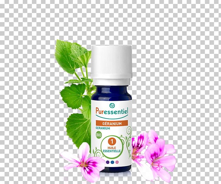 Essential Oil Cymbopogon Citratus Herb Cypress PNG, Clipart, Aroma, Cymbopogon Citratus, Cypress, Essential Oil, Eucalyptus Oil Free PNG Download