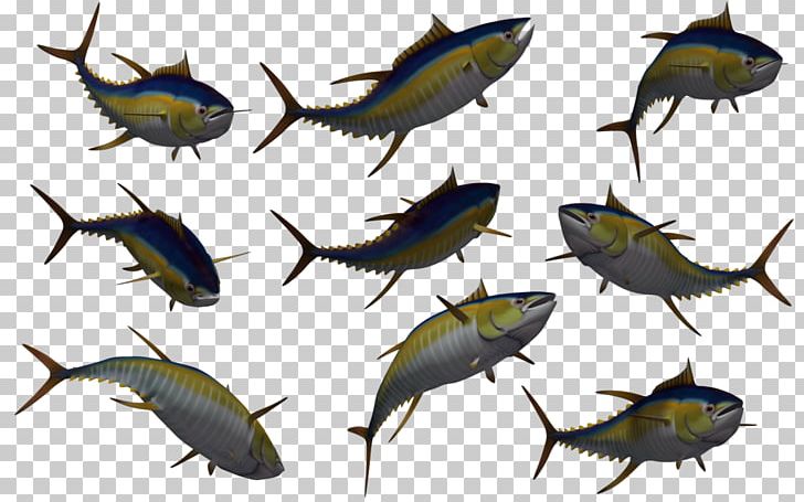 Fish Yellowfin Tuna PNG, Clipart, Bony Fish, Drawing, Fauna, Fish, Fishing Free PNG Download