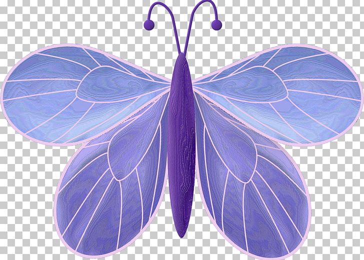 Symmetry PNG, Clipart, Butterfly, Insect, Invertebrate, Moths And Butterflies, Organism Free PNG Download