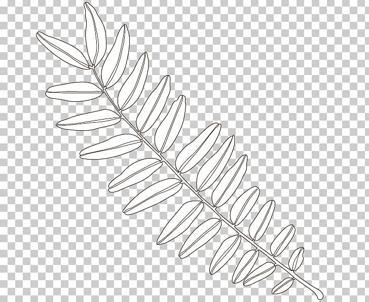 Twig Line Art Angle Leaf PNG, Clipart, Angle, Art, Black And White, Branch, Leaf Free PNG Download