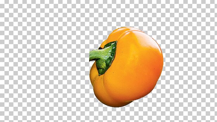 Winter Squash Calabaza Food Bell Pepper Paprika PNG, Clipart, Afacere, Bell Pepper, Bell Peppers And Chili Peppers, Calabaza, Capsicum Annuum Free PNG Download