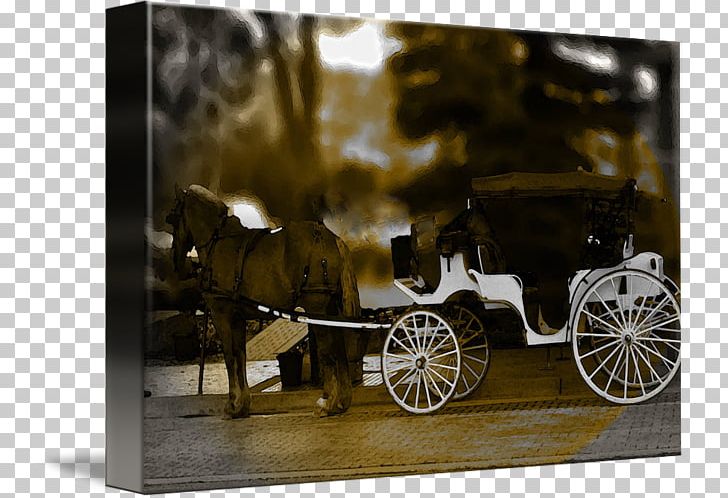 Car Motor Vehicle Horse And Buggy Wagon PNG, Clipart, Car, Carriage, Cart, Chariot, Horse Free PNG Download