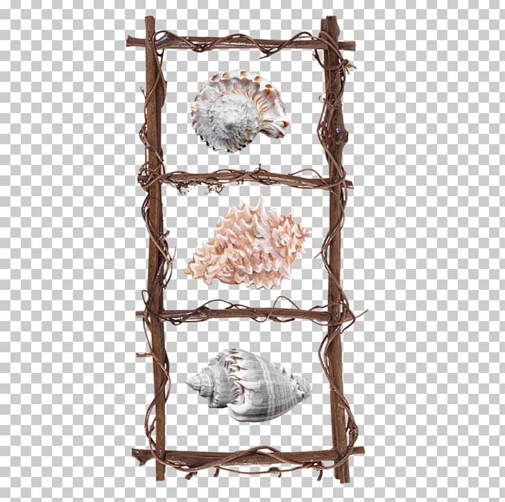 Frames Wood Photography PNG, Clipart, Albom, Branch, Computer Icons, Encapsulated Postscript, Ladder Free PNG Download