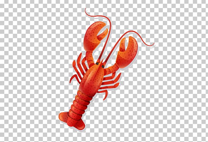Lobster Caridea Palinurus Elephas Shrimp Astacoidea PNG, Clipart, Animals, Astacoidea, Caridea, Chain Store, Crayfish Free PNG Download