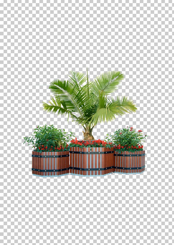 Plant Tree Window Box Shrub PNG, Clipart, Adobe Illustrator, Arecaceae, Arecales, Bonsai, Christmas Tree Free PNG Download