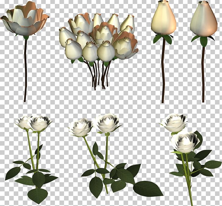 Cut Flowers Lilium Garden Roses Bud PNG, Clipart, Bud, Cut Flowers, Drawing, Flora, Flower Free PNG Download