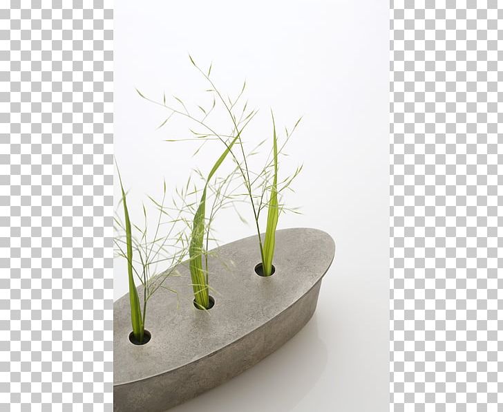 Grasses Flowerpot Ikebana PNG, Clipart, Art, Flowerpot, Grass, Grasses, Grass Family Free PNG Download