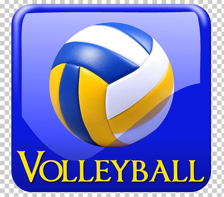 Sport Volleyball Volleyfest Head Basketball PNG, Clipart, Area, Ball, Baseball, Basketball, Basketball Coach Free PNG Download