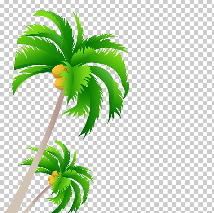 Tree Coconut PNG, Clipart, Arecales, Autumn Tree, Christmas Tree, Coconut, Coconut Tree Free PNG Download