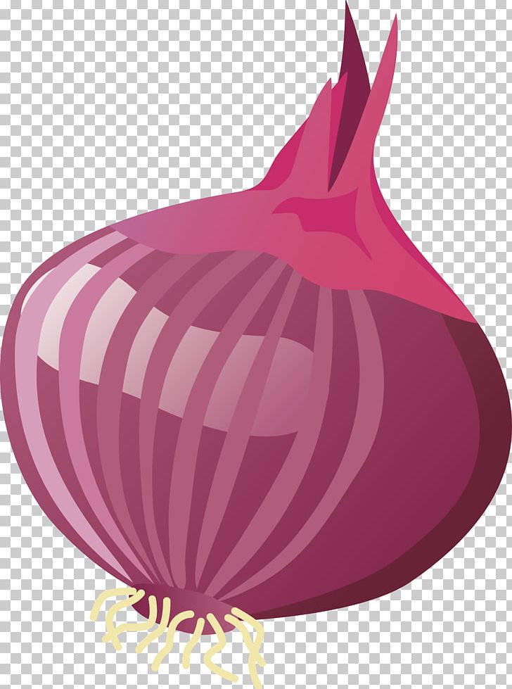 Yellow Onion Garlic PNG, Clipart, Allium Fistulosum, Download, Drawing, Euclidean Vector, Food Free PNG Download