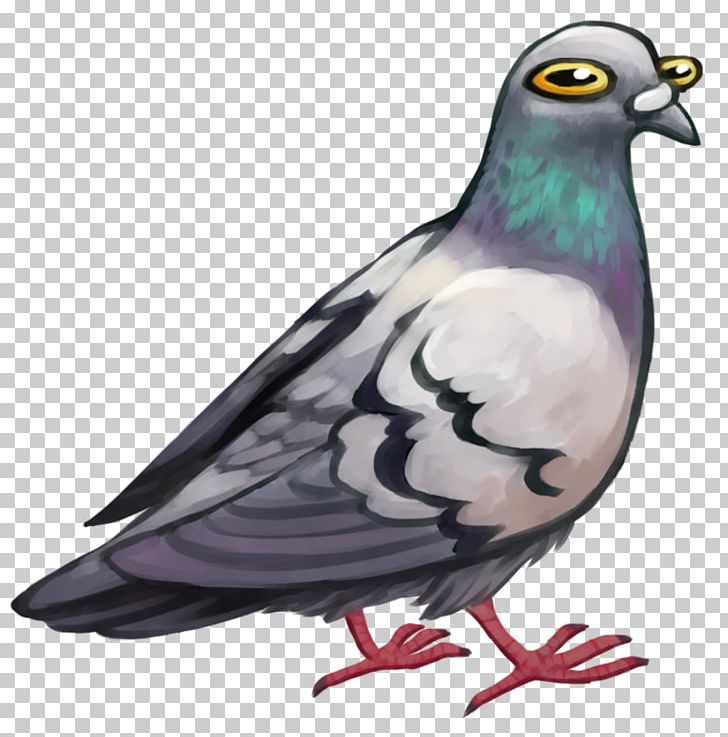 Columbidae Bird Domestic Pigeon Stock Dove Digital Art PNG, Clipart, Animal, Animals, Art, Beak, Bird Free PNG Download