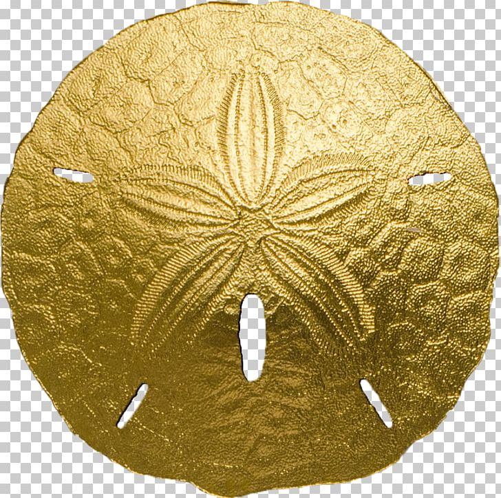 Sea Urchin Sand Dollar Gold Dollar Coin PNG, Clipart, Artifact, Bullion, Circle, Coin, Dendraster Excentricus Free PNG Download