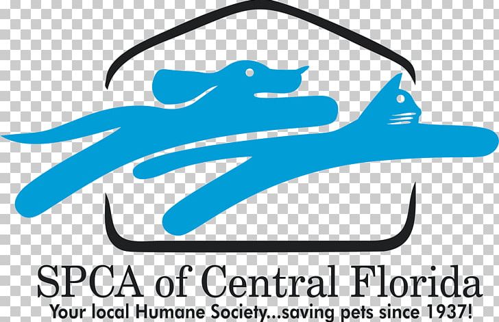 Society For The Prevention Of Cruelty To Animals Florida Cat Pet Humane Society PNG, Clipart, Anima, Animal, Animals, Charitable Organization, Humane Society Free PNG Download