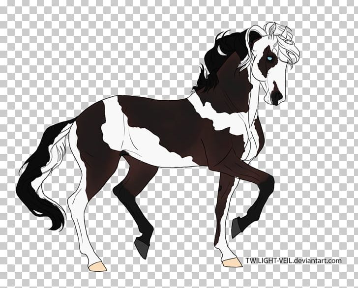 Stallion Mustang Foal Colt Pony PNG, Clipart,  Free PNG Download