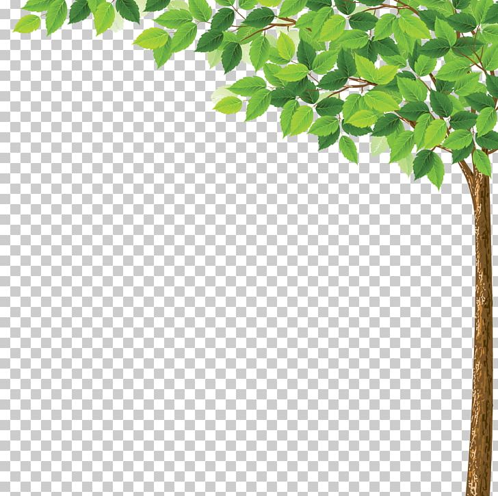 Tree Desktop PNG, Clipart, Branch, Christmas Tree, Desktop Wallpaper, Eastern White Pine, Flowerpot Free PNG Download
