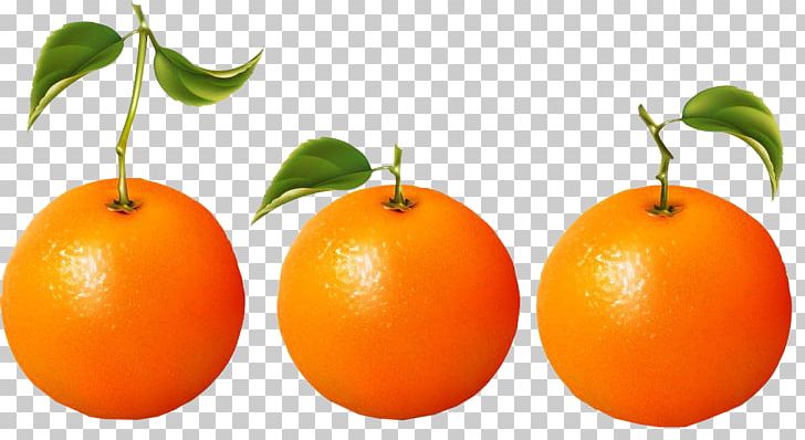 Clementine Orange Juice Blood Orange Mandarin Orange PNG, Clipart, Auglis, Calamondin, Citrus, Diet Food, Food Free PNG Download