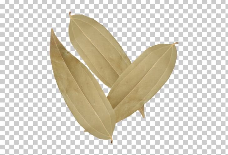 Leaf Commodity PNG, Clipart, Commodity, Foodstuff, Leaf Free PNG Download