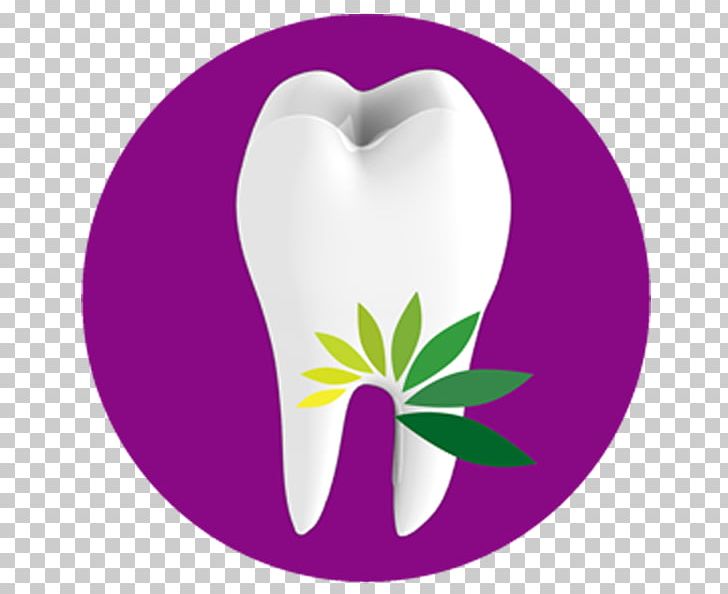 Smile Al Reem Dental Center Halarewards.Com Reem Drive Al Hilali Clinic PNG, Clipart, Abu Dhabi, Boston Dental Center, Clinic, Cosmetics, Dental Insurance Free PNG Download