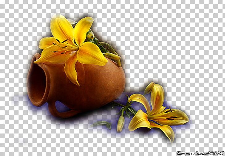 Vase Still Life Photography Flower Petal PNG, Clipart, Bmw 1 Series, Bmw 4 Series, Bmw Serie 1, Computer, Computer Wallpaper Free PNG Download