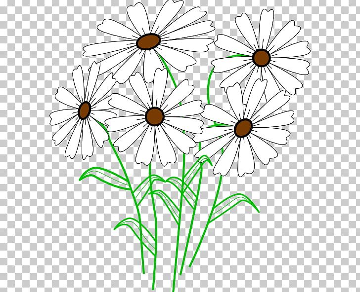 Common Daisy PNG, Clipart, Artwork, Black And White, Common Daisy, Cut Flowers, Daisy Free PNG Download