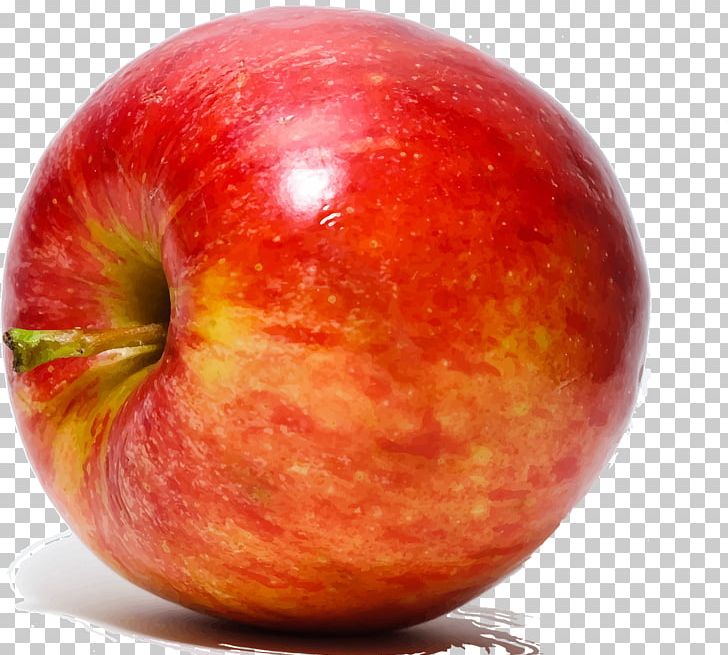 Crisp Apple Fruit Tutti Frutti Vegetable PNG, Clipart, Apple, Braeburn, Crisp, Diet Food, Eating Free PNG Download