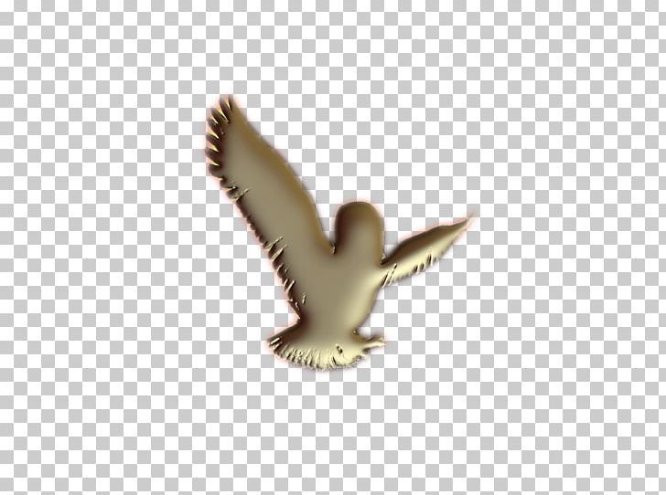 Beak Fauna PNG, Clipart, Beak, Bird, Fauna, Logo, Others Free PNG Download