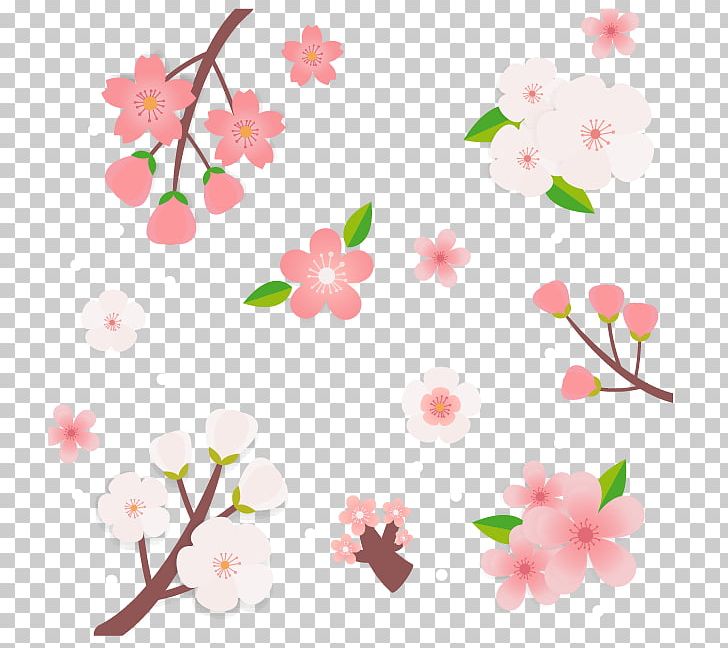 Cherry Blossom Cerasus PNG, Clipart, Animation, Balloon Cartoon, Blossom, Branch, Cartoon Free PNG Download