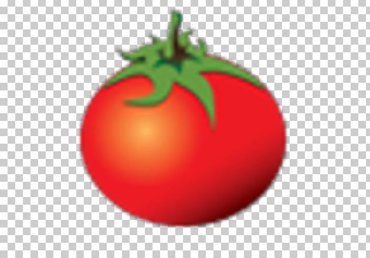 Plum Tomato Bush Tomato Rotten Tomatoes Film PNG, Clipart, Bush Tomato, Christmas Ornament, Comcast, Diet Food, Film Free PNG Download