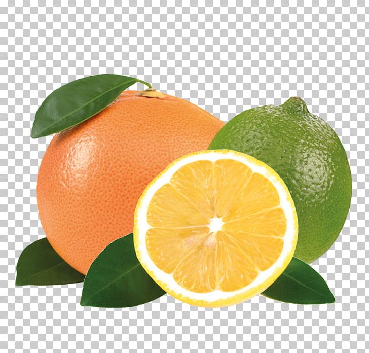 Clementine Key Lime Lemon Persian Lime Mandarin Orange PNG, Clipart, Bitter Orange, Blood Orange, Calamondin, Citric Acid, Citron Free PNG Download