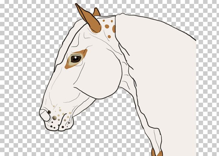 Mane Bridle Pony Mustang Stallion PNG, Clipart, Bridle, Fortune Telling, Mane, Mustang, Pony Free PNG Download