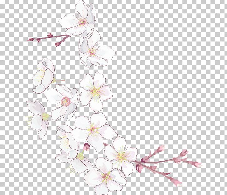 Cherry Blossom Flower Petal Floral Design PNG, Clipart, Blossom, Branch, Cherry, Cherry , Chrysanthemum Free PNG Download