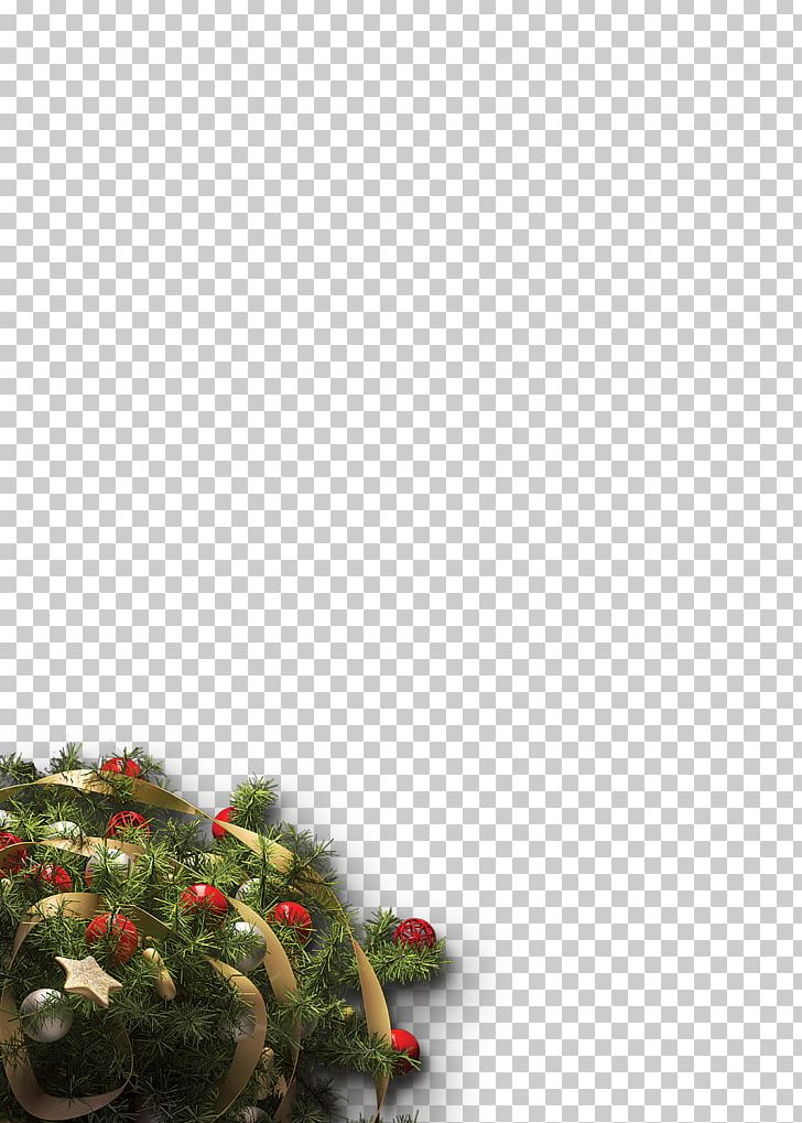 Christmas Tree Christmas Ornament PNG, Clipart, Christmas Decoration, Christmas Frame, Christmas Gift, Christmas Lights, Christmas Ornament Free PNG Download