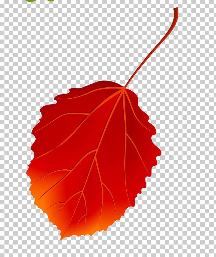 European Aspen Autumn Leaves Maple Leaf PNG, Clipart, Autumn Leaves, Cottonwood, Download, European Aspen, Golden Autumn Free PNG Download