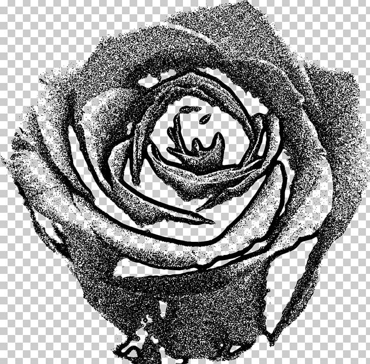 Garden Roses Drawing Black And White PNG, Clipart, Artwork, Black, Black And White, Black Rose, Blue Rose Free PNG Download