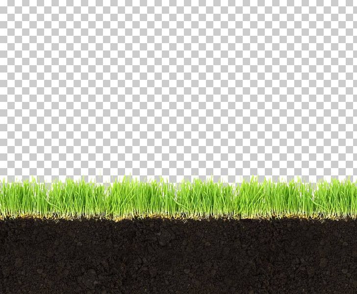Soil Horizon Meadow Grass PNG, Clipart, Car Profile, Company Profile, Company Profile Design, Euclidean Vector, Flooring Free PNG Download