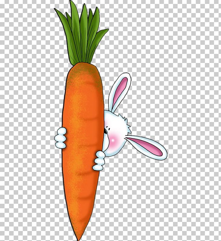 Carrot Cake Hare Rabbit PNG, Clipart, Carrot, Carrot Cake, Daucus Carota, Drawing, Flower Free PNG Download