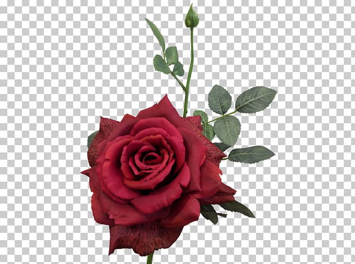 Garden Roses Cabbage Rose Floral Design Cut Flowers PNG, Clipart, Cabbage Rose, Cut Flowers, Floral Design, Floristry, Flower Free PNG Download