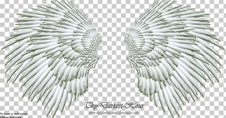 Drawing PNG, Clipart, Angel Wing, Angel Wings Png, Beak, Black And White, Computer Software Free PNG Download