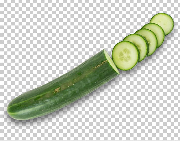 Pickled Cucumber Vegetable Food PNG, Clipart, Cucumber, Cucumber Slices, Cucumis, Download, Eating Free PNG Download