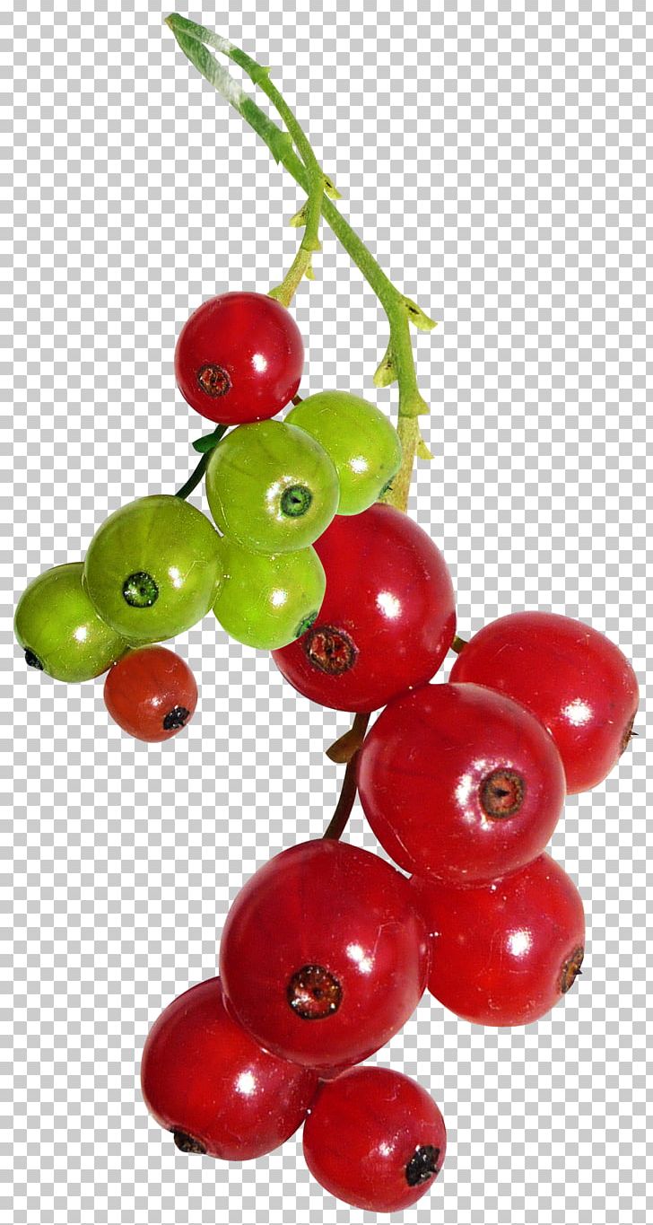 Redcurrant Varenye Auglis PNG, Clipart, Accessory Fruit, Acerola Family, Auglis, Berry, Cherry Free PNG Download